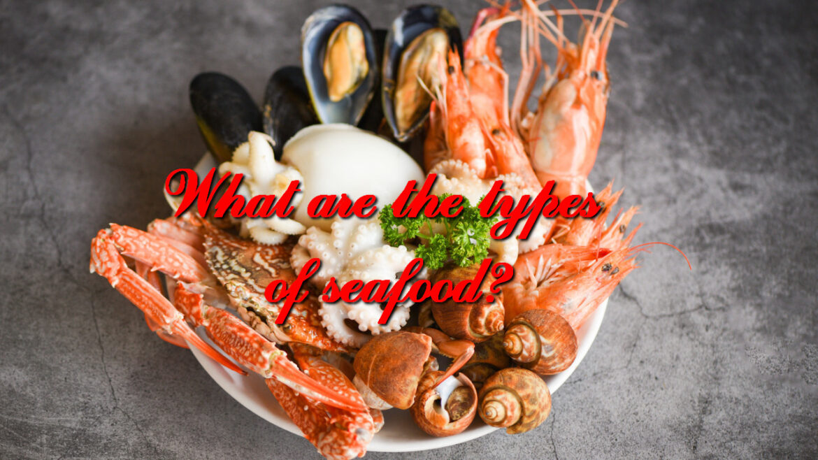 What are the types of seafood?